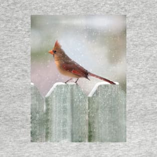Female Cardinal Snowy Day T-Shirt